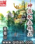 神匠职业领主 作者:青幕山