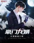 豪门龙婿 作者:红鹰展翅