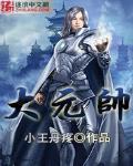大元帅 作者:小王丹疼