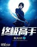 终极高手 作者:秋风123