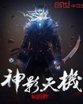 神影天机 作者:百花圣手