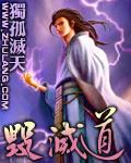 毁灭道 作者:独孤灭天