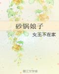 砂锅娘子 作者:女王不在家
