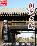 国之大贼 作者:黑椒炒三国