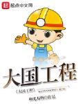 大国工程 作者:和光万物