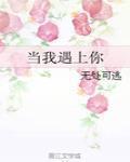 当我遇上你 作者:无处可逃