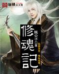 修魂记 作者:贼公子