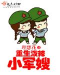 重生泼辣小军嫂 作者:理想花