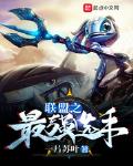 联盟之最强选手 作者:一片苏叶