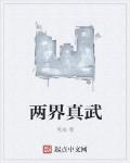 两界真武 作者:茗夜