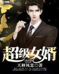 超级女婿 作者:天秤风恋