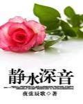 静水深音 作者:夜弦辰歌
