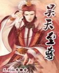 昊天至尊 作者:天剑仙尊