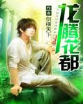龙腾花都 作者:剑横天下
