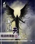 无限之一手遮天 作者:纯洁的清影