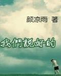我们说好的 作者:颜凉雨