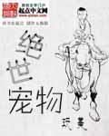 绝世宠物 作者:玩美