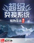 超级兑换系统 作者:植物菜苗