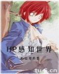 HP感知世界 作者:忘却的悠